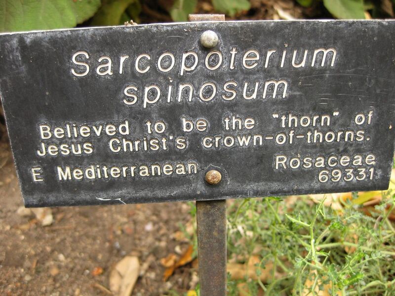 File:1280px-IMG 6940 hunt09jun.jpg