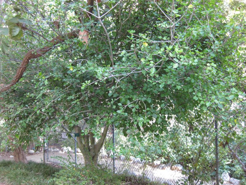 File:Df041lppz1rcyjiyoescfhujmns3em4.jpg