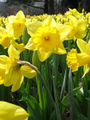 Thumbnail for version as of 06:40, 23 May 2007