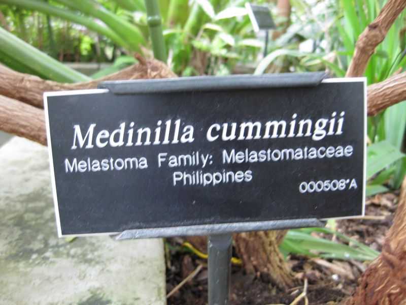 File:IMG 1030 bbg09.jpg