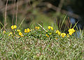 Thumbnail for version as of 09:50, 29 April 2025