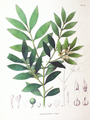 Thumbnail for version as of 17:04, 31 October 2007