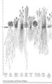 Thumbnail for version as of 05:14, 1 June 2007