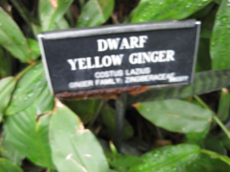 File:1280px-IMG 1212 bbg09.jpg