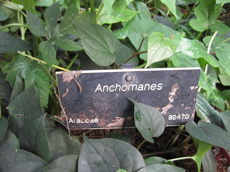 File:1280px-IMG 1734 hunt09oct.jpg