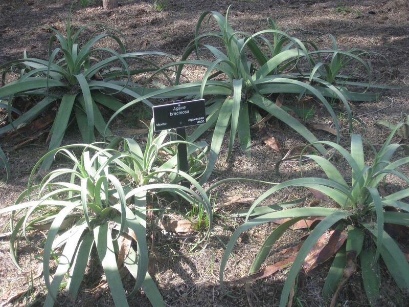 File:1280px-IMG 2348 hunt0903.jpg