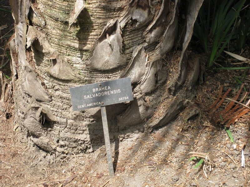 File:1280px-IMG 4138 hunt0904.jpg