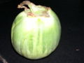 Thumbnail for version as of 04:10, 13 April 2007