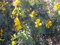 Thumbnail for version as of 10:23, 29 April 2025