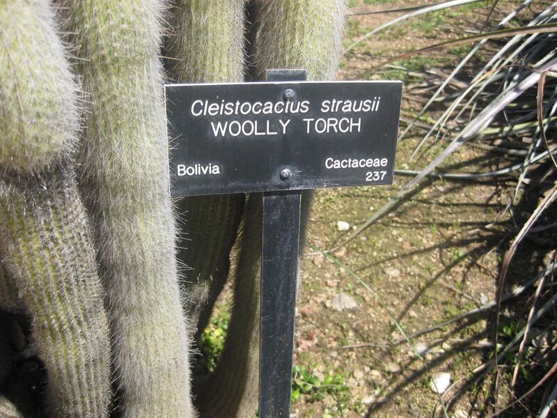 File:1280px-IMG 2408 hunt0903.jpg