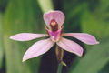 Thumbnail for version as of 10:11, 2 May 2007