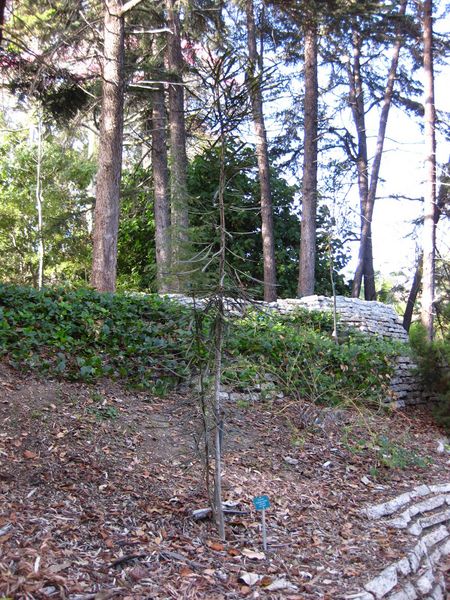 File:IMG 2594 ucla09.jpg