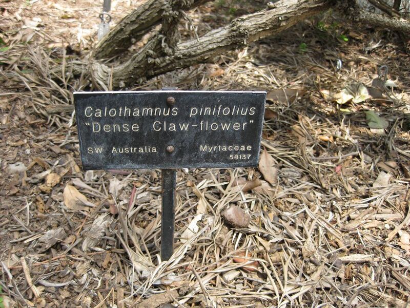 File:1280px-IMG 4569 hunt0904.jpg