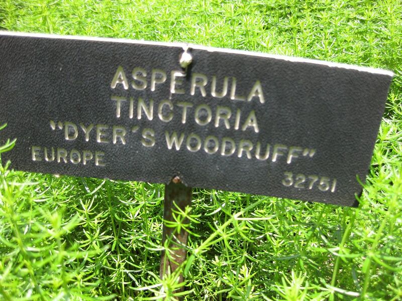 File:1280px-IMG 7641 hunt09jun.jpg