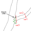 Thumbnail for version as of 09:07, 29 April 2025
