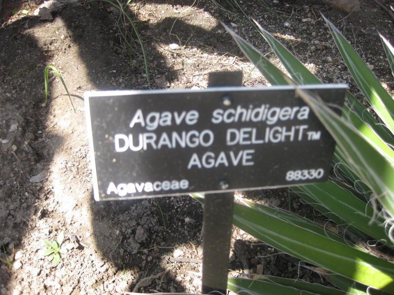File:IMG 2299 hunt0903.jpg