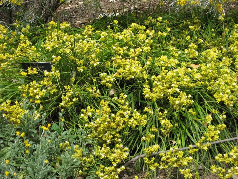 File:1280px-IMG 4528 hunt0904.jpg