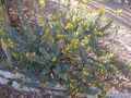 Thumbnail for version as of 10:31, 29 April 2025