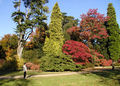 Thumbnail for version as of 15:16, 15 May 2007
