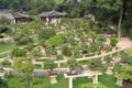 Thumbnail for version as of 06:19, 19 May 2007