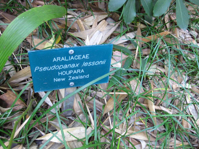 File:IMG 2485 ucla09.jpg