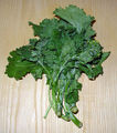 Thumbnail for version as of 10:41, 12 May 2007