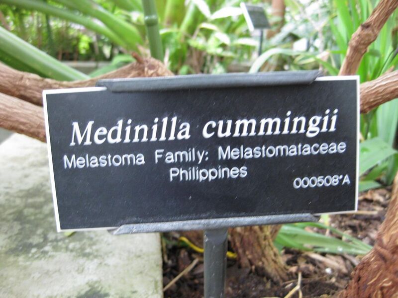 File:1280px-IMG 1030 bbg09.jpg