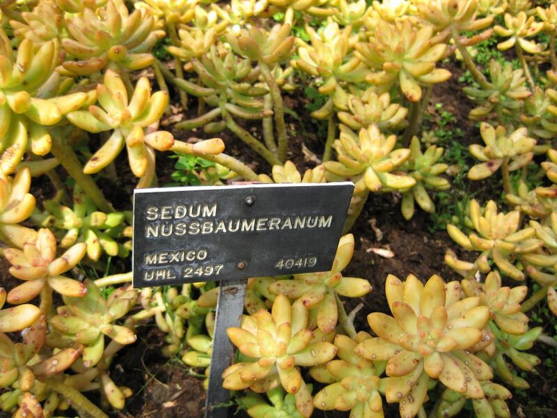 File:1280px-IMG 4433 hunt0904.jpg