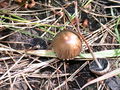 Thumbnail for version as of 10:11, 30 October 2007