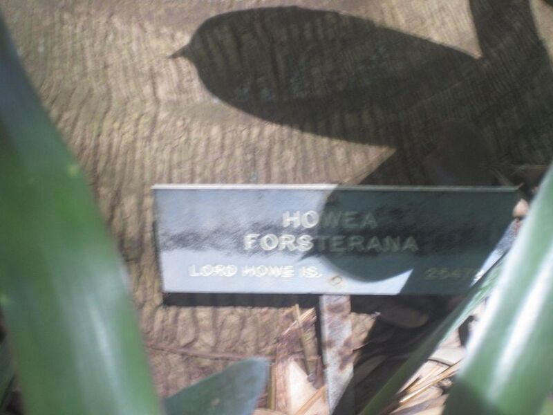File:1024px-IMG 2053 hunt0903.jpg