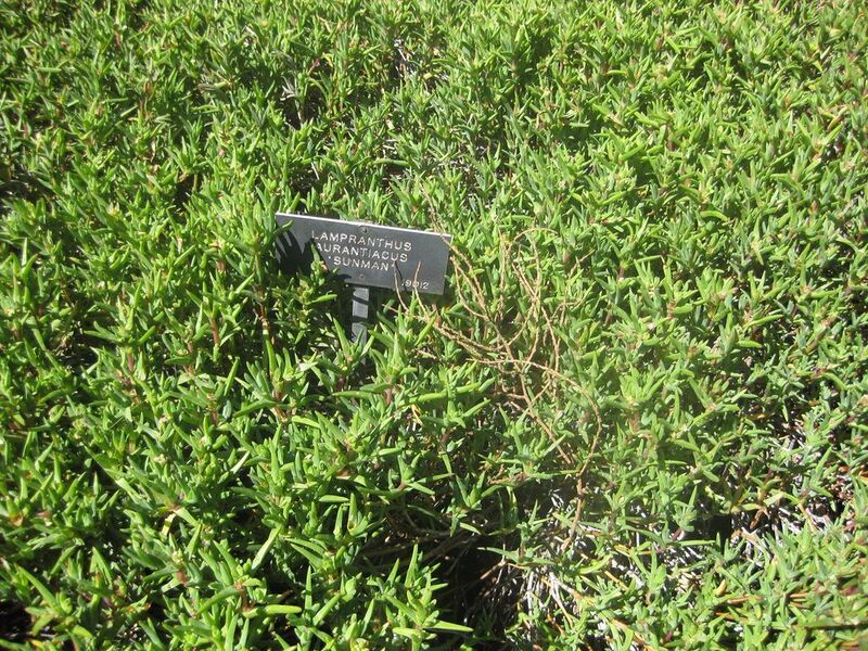 File:1024px-IMG 2158 hunt0903.jpg