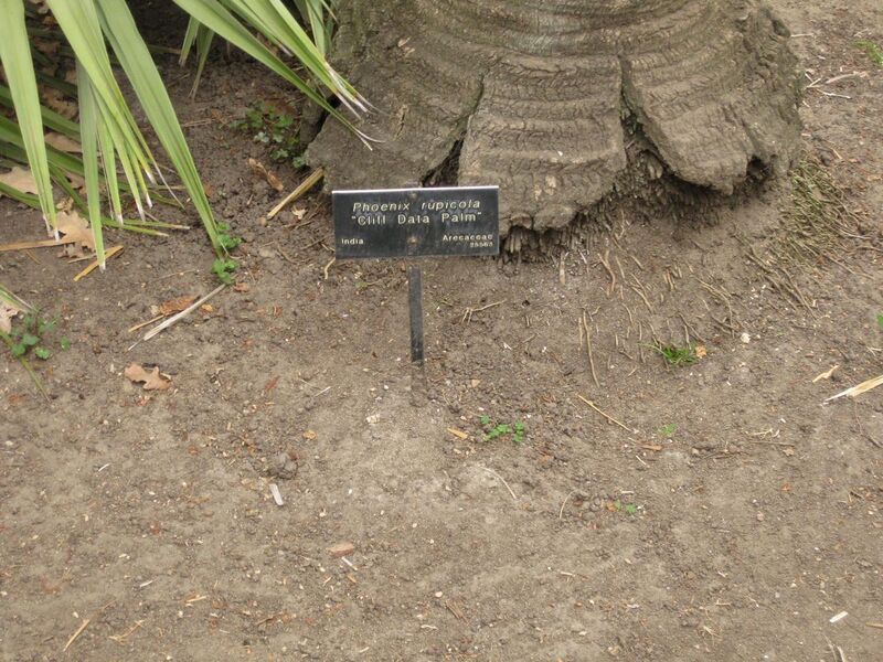 File:1280px-IMG 3887 hunt0904.jpg