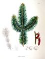 Thumbnail for version as of 09:18, 29 April 2025