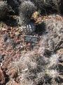 Thumbnail for version as of 10:26, 29 April 2025