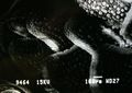 Thumbnail for version as of 11:37, 29 April 2007