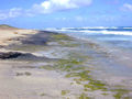 Thumbnail for version as of 17:08, 21 June 2007