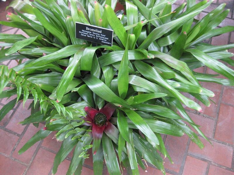 File:1024px-IMG 0884 bbg09.jpg