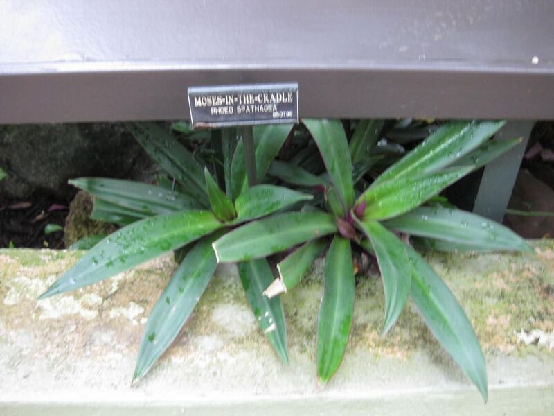 File:1024px-IMG 0943 bbg09.jpg