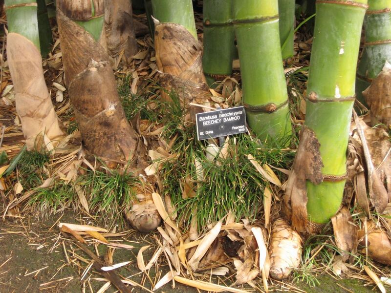 File:1280px-IMG 3854 hunt0904.jpg