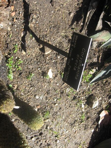 File:576px-IMG 2171 hunt0903.jpg