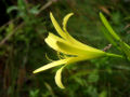 Thumbnail for version as of 01:06, 9 January 2011