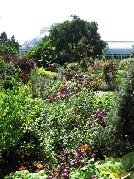 File:IMG 0361 nybg09.jpg