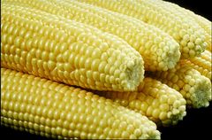 Husked sweetcorn