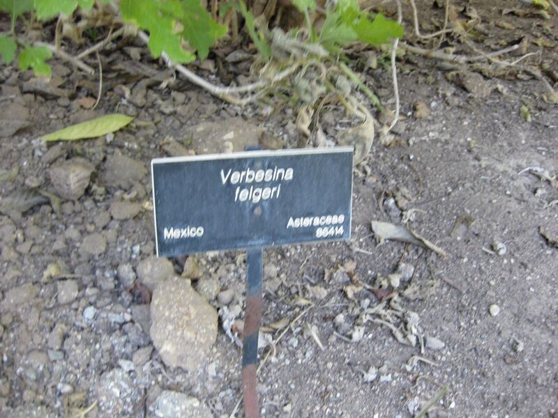 File:1280px-IMG 1957 hunt09oct.jpg