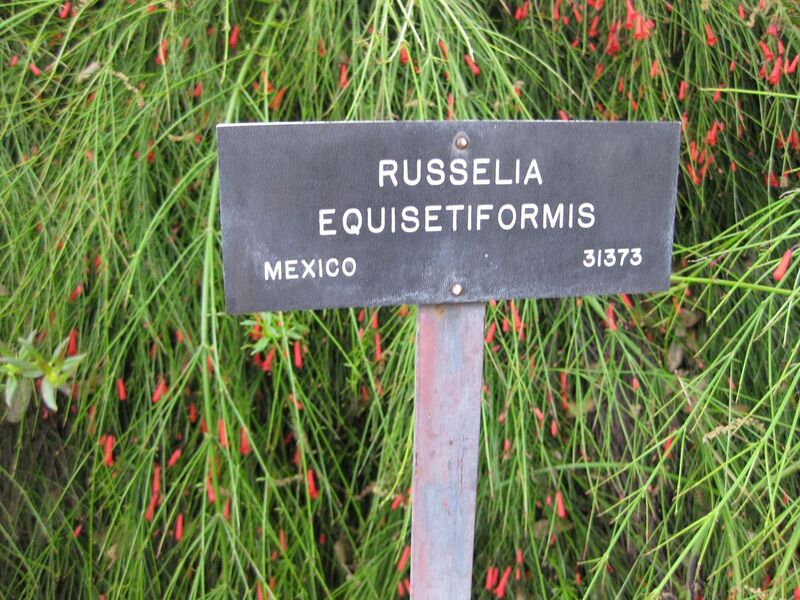 File:1280px-IMG 4920 hunt0904.jpg