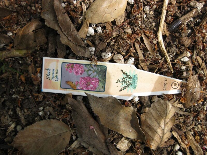 File:1280px-IMG 5175 hunt0904.jpg