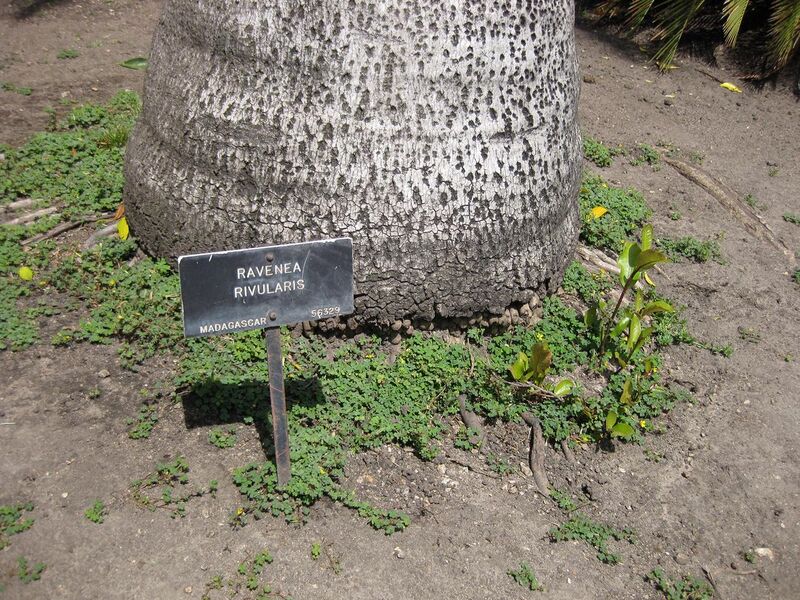 File:1280px-IMG 4174 hunt0904.jpg