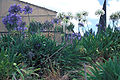 Thumbnail for version as of 09:45, 29 April 2025