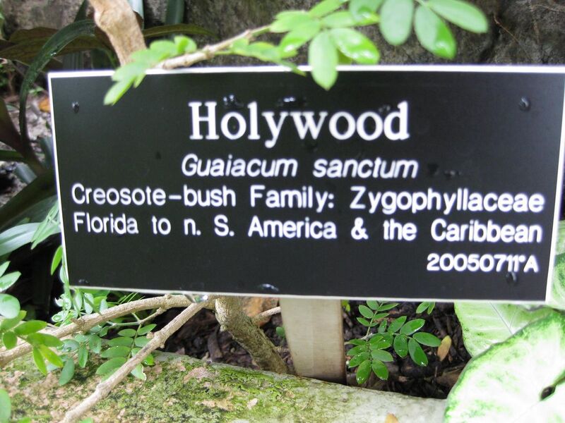 File:1280px-IMG 0947 bbg09.jpg