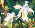 Thumbnail for version as of 10:52, 2 May 2007